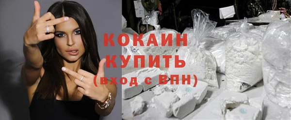 прущие грибы Аркадак