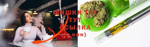 прущие грибы Аркадак