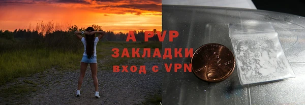 прущие грибы Аркадак