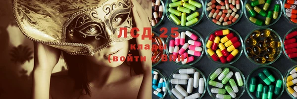 прущие грибы Аркадак