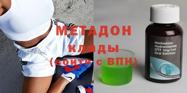 прущие грибы Аркадак