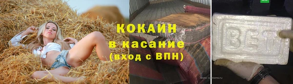 прущие грибы Аркадак
